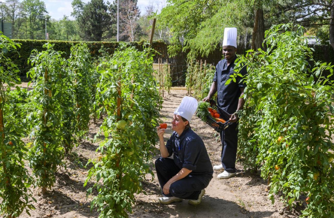 Demeures De Campagne Chemins De Sologne A Orleans Hotel Екстериор снимка